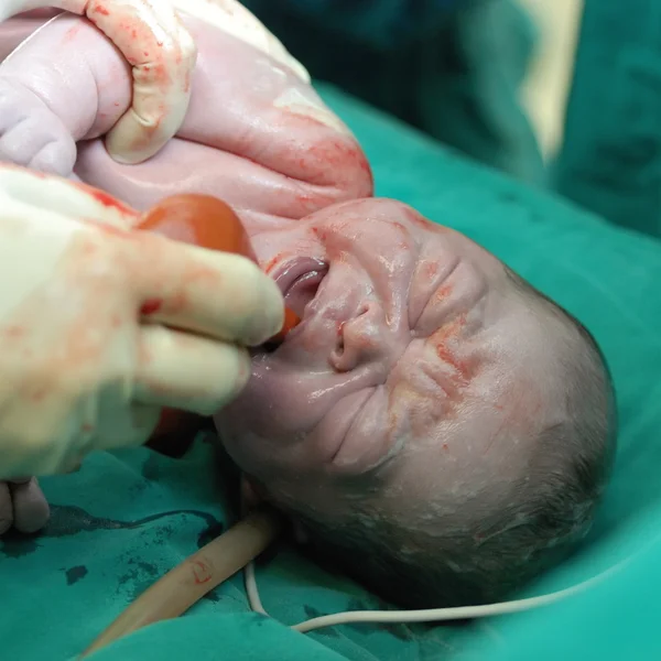 Bayi yang baru lahir — Stok Foto