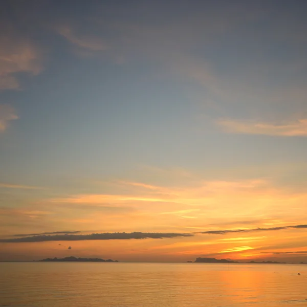 Passera di mare — Foto Stock