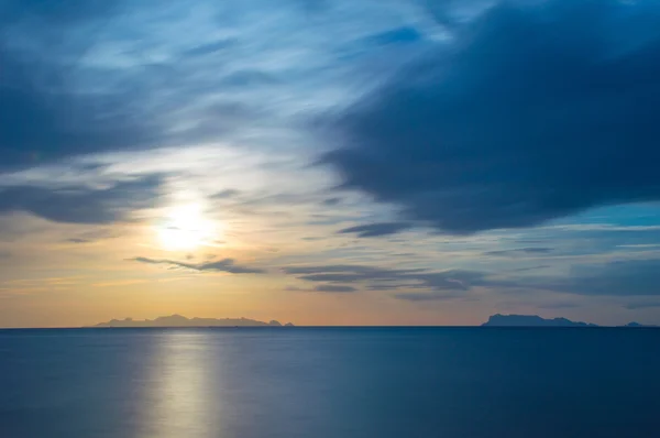 Passera di mare — Foto Stock