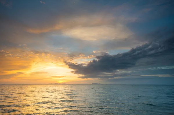 Passera di mare — Foto Stock