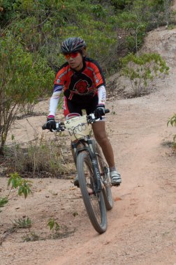 Samui mtb 2013