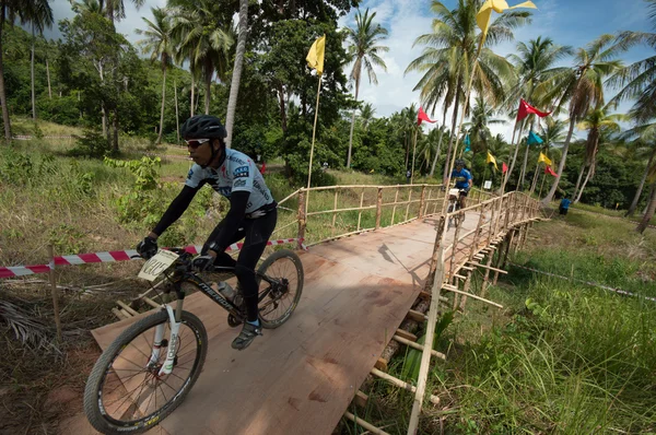 Samui mtb 2013 — Φωτογραφία Αρχείου