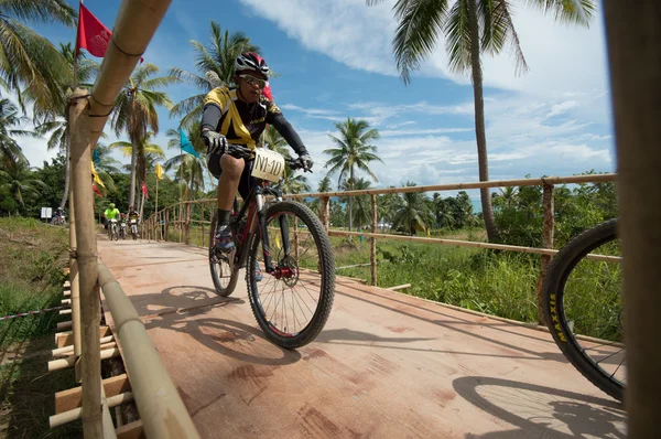 Samui Mtb 2013 — Stockfoto