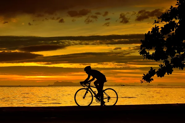 Silhouette eines Radfahrers — Stockfoto