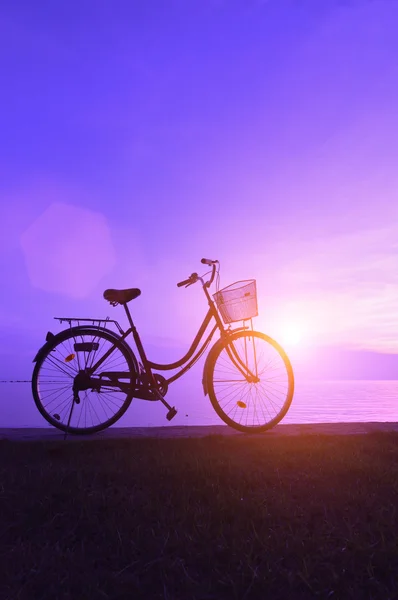 Bicicleta — Foto de Stock