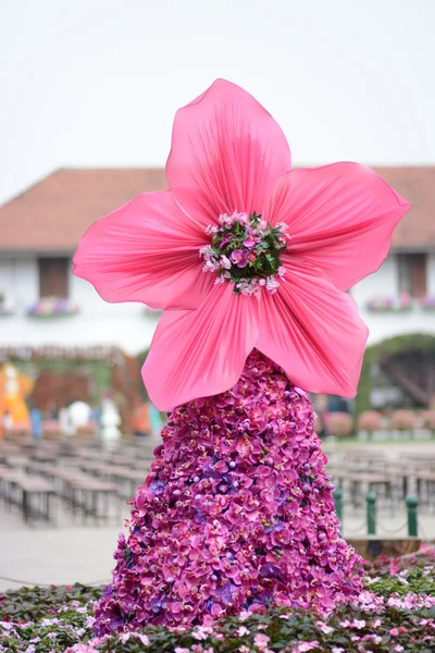 Chiang Rai flora — Stockfoto