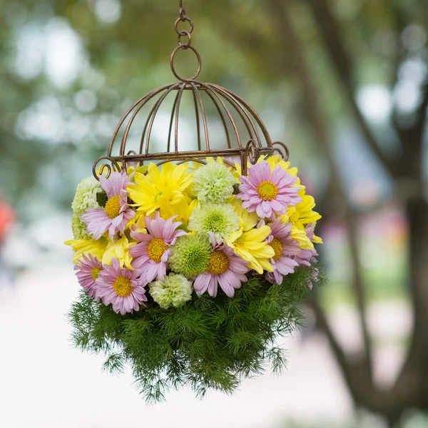 Hanging flower basket — Stock Photo, Image