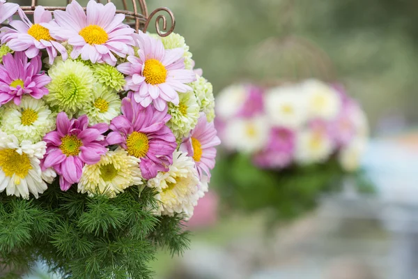 Hanging flower basket — Stock Photo, Image