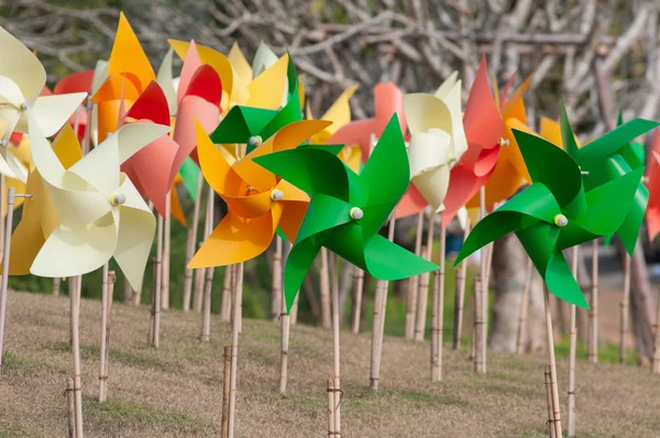 Flor — Foto de Stock