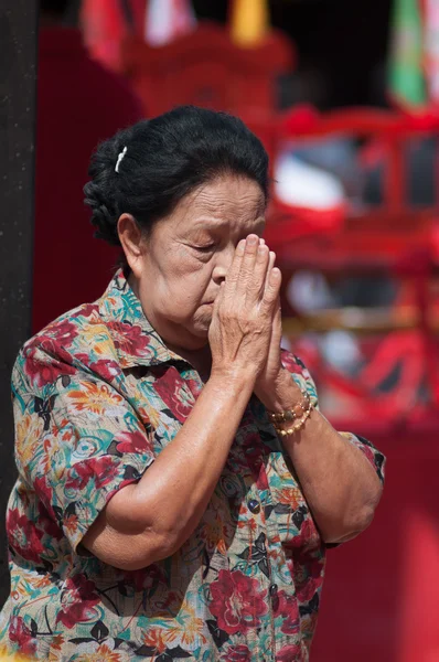 Chinees nieuwjaar — Stockfoto