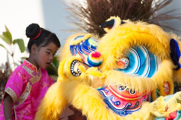 Chinese new year — Stock Photo, Image