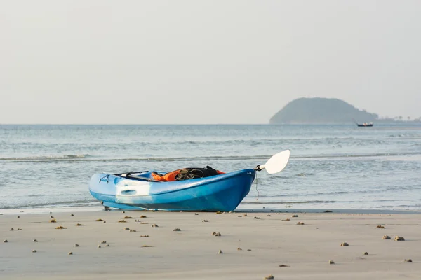 Passera di mare — Foto Stock