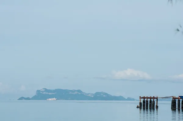 Passera di mare — Foto Stock