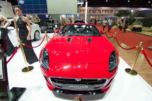 Jaguar on display — Stock Photo, Image