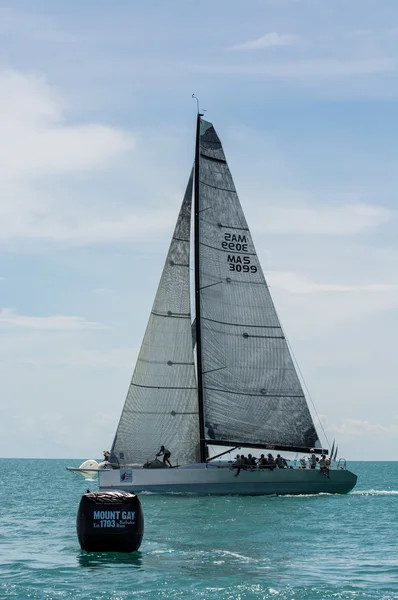 Samui Regata 2014 — Stock fotografie