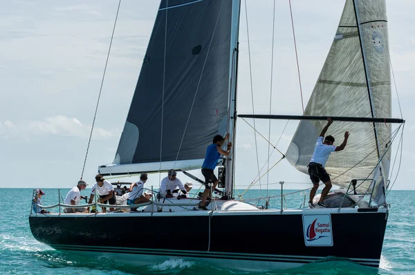 Regata samui 2014 — Foto Stock