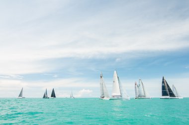 bir Deniz Yat Yarışları