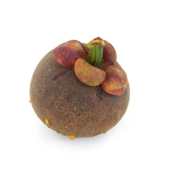 Fresh mangosteen — Stock Photo, Image