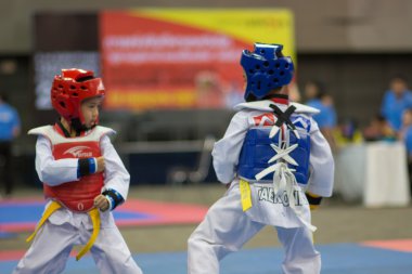 Taekwondo Şampiyonası