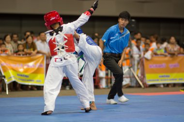 Taekwondo Şampiyonası