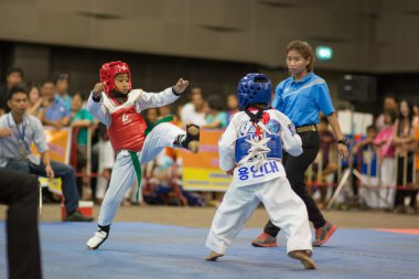 Taekwondo Şampiyonası