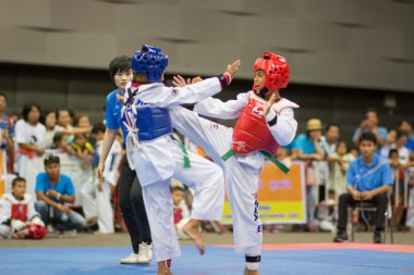 Taekwondo Şampiyonası
