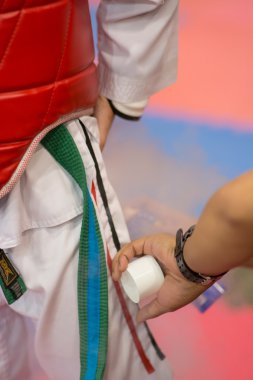 Taekwondo Şampiyonası