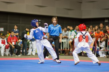 Taekwondo Şampiyonası