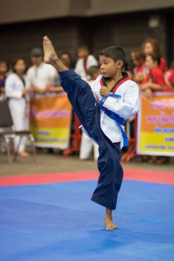 Taekwondo Şampiyonası