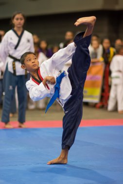 Taekwondo Şampiyonası