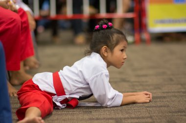 Taekwondo Şampiyonası