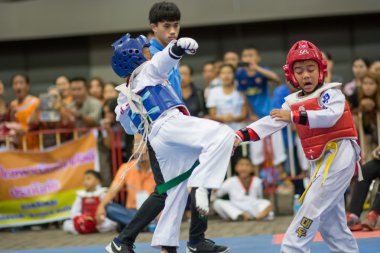 Taekwondo Şampiyonası