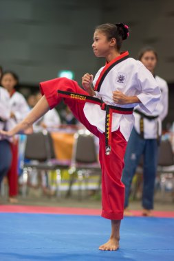 Taekwondo Şampiyonası