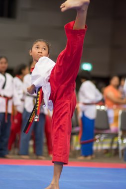 Taekwondo Şampiyonası