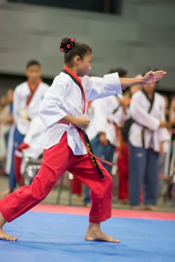 Taekwondo Şampiyonası