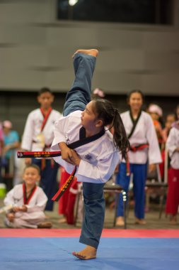 Taekwondo Şampiyonası