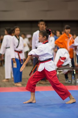 Taekwondo Şampiyonası