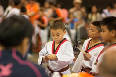 Taekwondo Şampiyonası