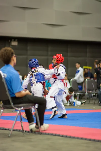 Campeonato Taekwondo — Foto de Stock