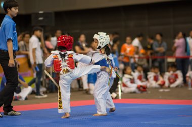 Taekwondo Şampiyonası