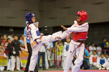 Taekwondo Şampiyonası