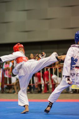 Taekwondo Şampiyonası