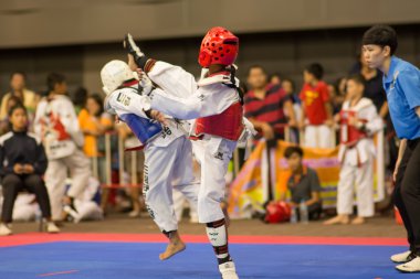 Taekwondo Şampiyonası