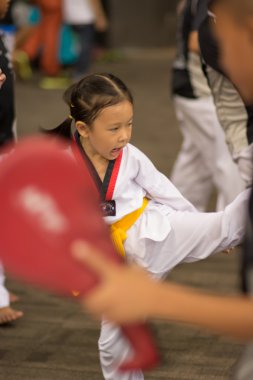 Taekwondo Şampiyonası