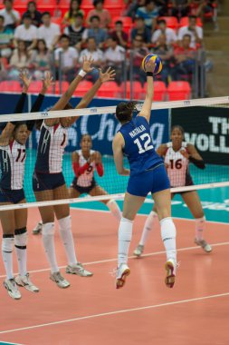 Voleybol Dünya grand prix 2014