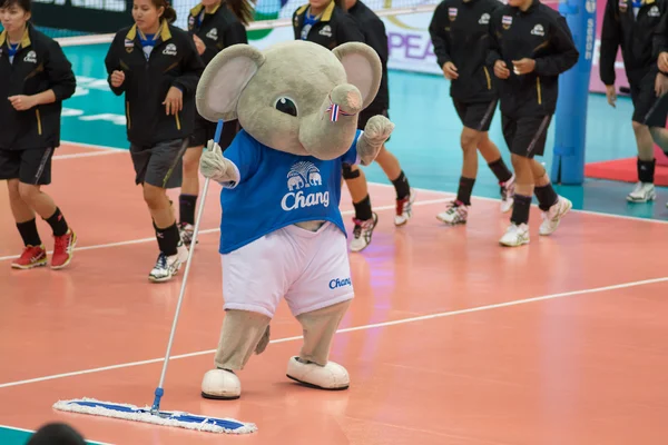 Volleyball World Grand Prix 2014 — Stock Photo, Image