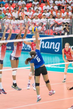 Voleybol Dünya grand prix 2014