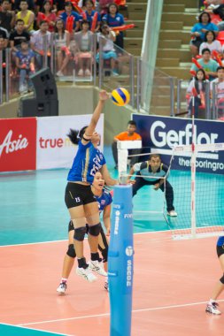 Voleybol Dünya grand prix 2014