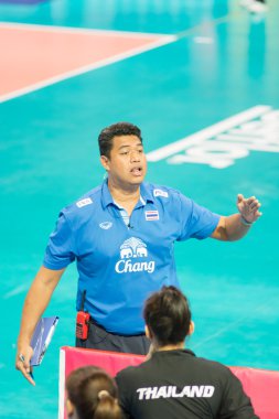 Voleybol Dünya grand prix 2014