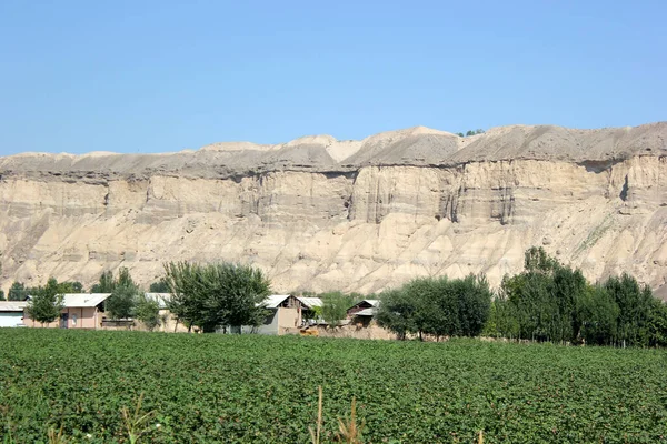 Kleine Ravijnen Het District Turakurgan Regio Namanagan Republiek Oezbekistan — Stockfoto
